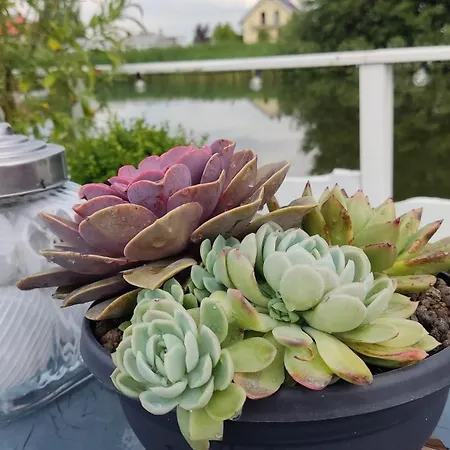 Nad Morzem Ii アパート