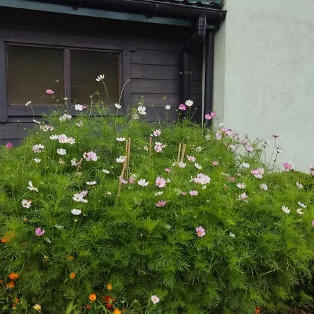 아파트 Nad Morzem Ii