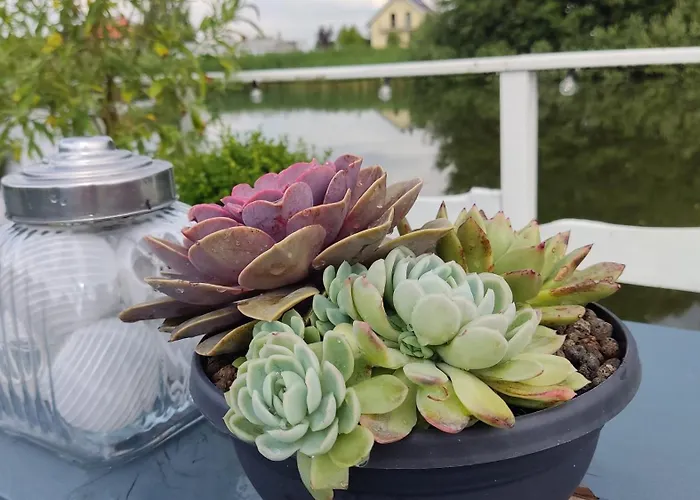 Nad Morzem Ii Apartamento